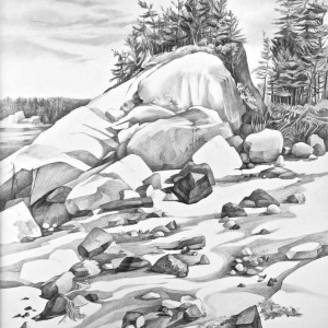 Exposed - Judith Felch - Maine Coast Artist