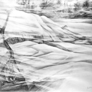 Sudden Fog - Judith Felch - Maine Coast Artist